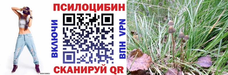 Галлюциногенные грибы Psilocybine cubensis  Волхов 