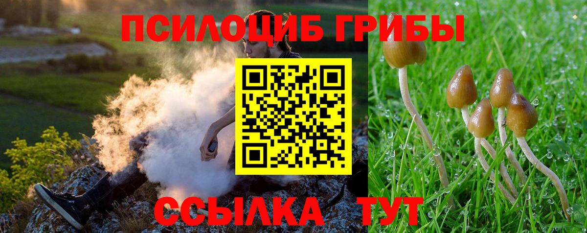 Псилоцибиновые грибы мицелий  Вход с VPN  Волхов  Псилоцибиновые грибы мицелий 